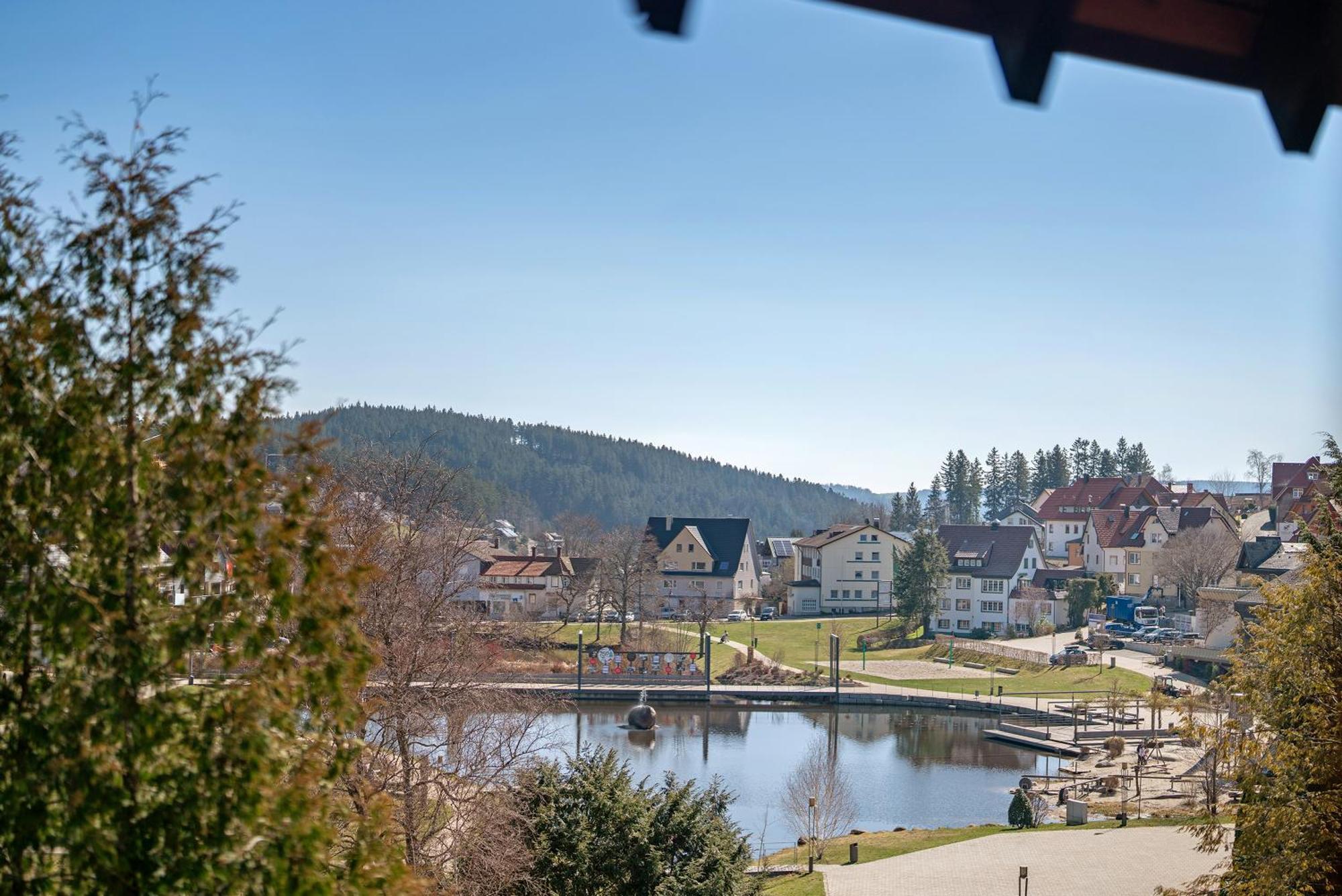 Ferienwohnung Karin Schonach im Schwarzwald Zewnętrze zdjęcie